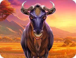 Wild Wildebeest Wins